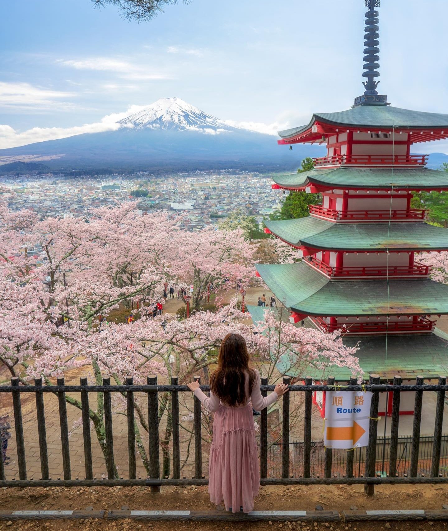Cerezos en flor y Monte Fuji