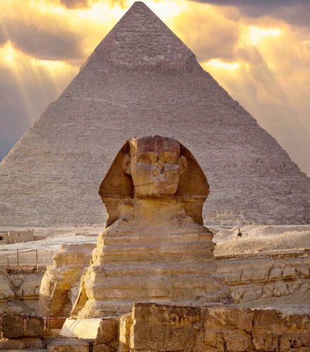 WhatsApp Image 2026-01-12 at 10.24.08 AM(1)